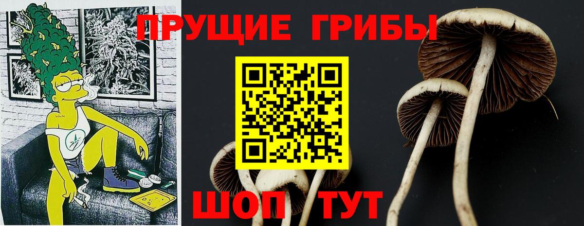 Псилоцибиновые грибы мухоморы Лобня