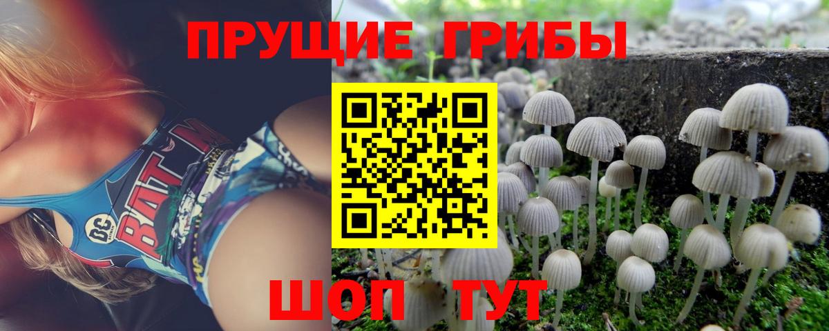 Псилоцибиновые грибы мухоморы  Вход с VPN  закладки  Лобня 